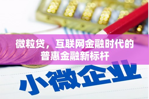 西岗微粒贷，互联网金融时代的普惠金融新标杆