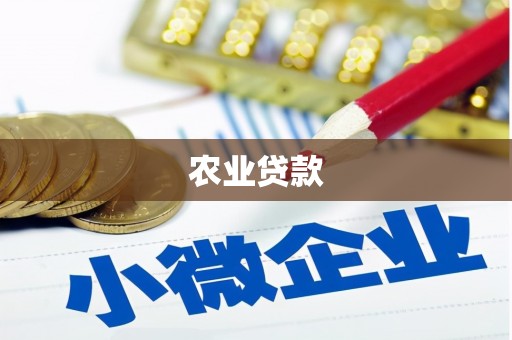 西岗农业贷款