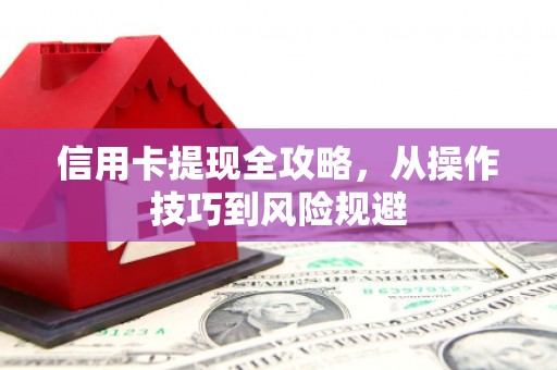 西岗信用卡提现全攻略，从操作技巧到风险规避