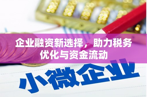 西岗企业融资新选择，助力税务优化与资金流动