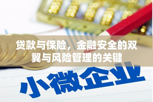 西岗贷款与保险，金融安全的双翼与风险管理的关键