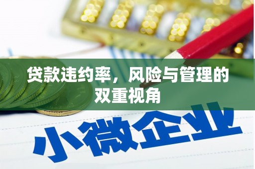 西岗贷款违约率，风险与管理的双重视角