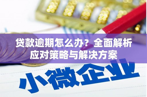 西岗贷款逾期怎么办？全面解析应对策略与解决方案