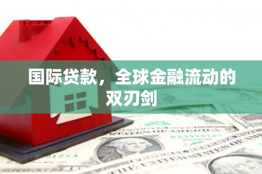 西岗国际贷款，全球金融流动的双刃剑