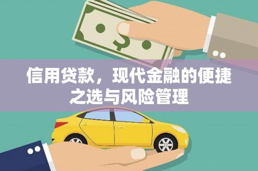 西岗信用贷款，现代金融的便捷之选与风险管理