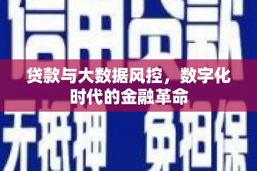 西岗贷款与大数据风控，数字化时代的金融革命