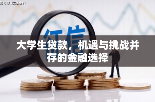西岗大学生贷款，机遇与挑战并存的金融选择