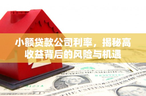 西岗小额贷款公司利率，揭秘高收益背后的风险与机遇