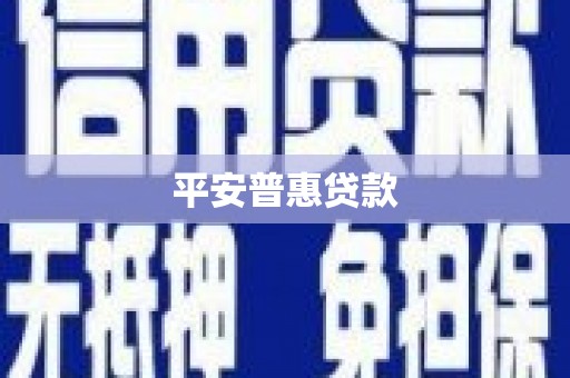 西岗平安普惠贷款