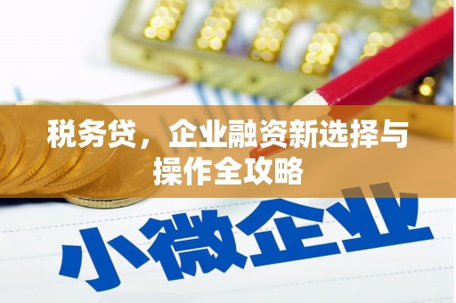 西岗税务贷，企业融资新选择与操作全攻略