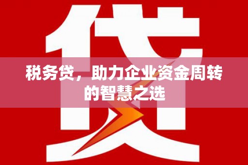 西岗税务贷，助力企业资金周转的智慧之选