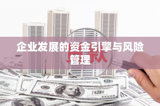 西岗企业发展的资金引擎与风险管理