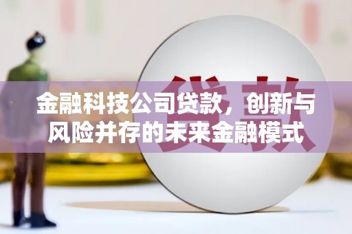 西岗金融科技公司贷款，创新与风险并存的未来金融模式