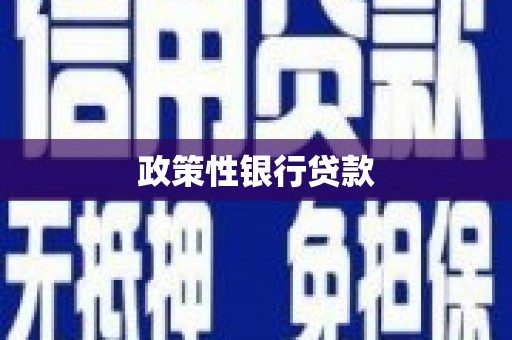 西岗政策性银行贷款