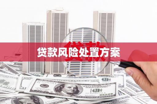 西岗贷款风险处置方案