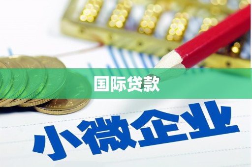 西岗国际贷款