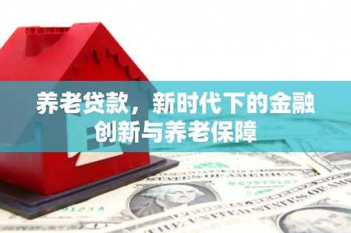 西岗养老贷款，新时代下的金融创新与养老保障