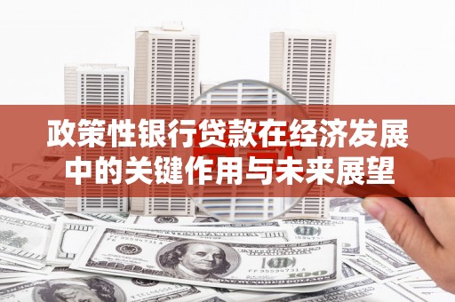 西岗政策性银行贷款在经济发展中的关键作用与未来展望