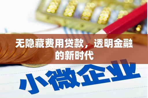 西岗无隐藏费用贷款，透明金融的新时代