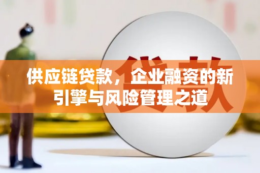 西岗供应链贷款，企业融资的新引擎与风险管理之道