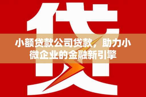 西岗小额贷款公司贷款，助力小微企业的金融新引擎