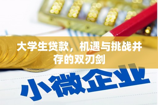 西岗大学生贷款，机遇与挑战并存的双刃剑