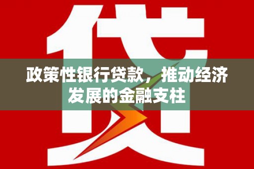 西岗政策性银行贷款，推动经济发展的金融支柱