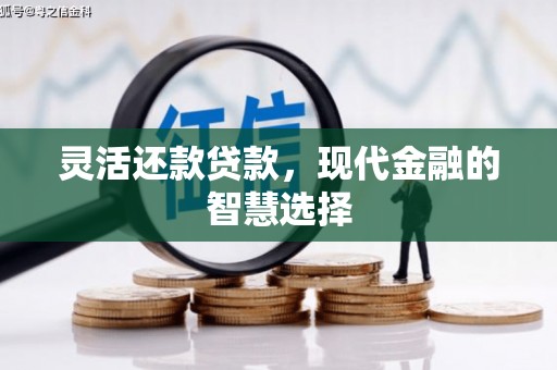 西岗灵活还款贷款，现代金融的智慧选择