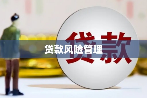 西岗贷款风险管理