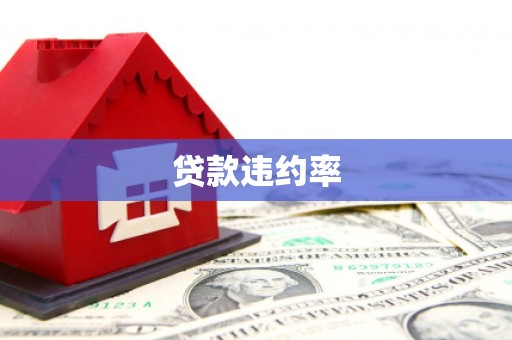 西岗贷款违约率