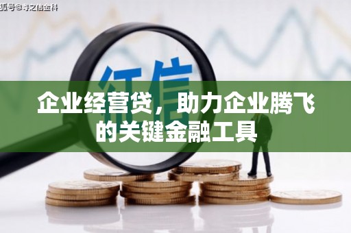 西岗企业经营贷，助力企业腾飞的关键金融工具