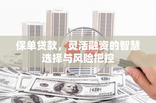 西岗保单贷款，灵活融资的智慧选择与风险把控