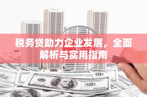 西岗税务贷助力企业发展，全面解析与实用指南