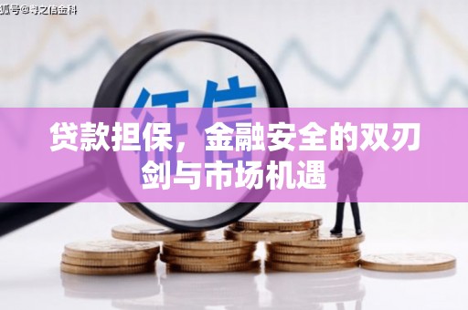 西岗贷款担保，金融安全的双刃剑与市场机遇