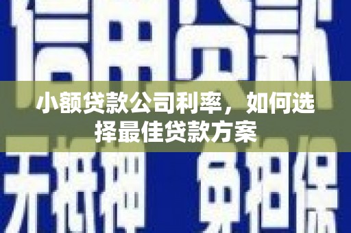 西岗小额贷款公司利率，如何选择最佳贷款方案