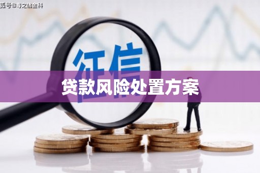 西岗贷款风险处置方案