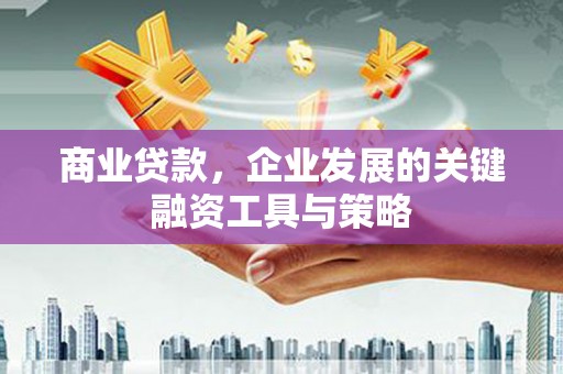 西岗商业贷款，企业发展的关键融资工具与策略