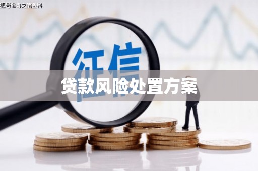 西岗贷款风险处置方案