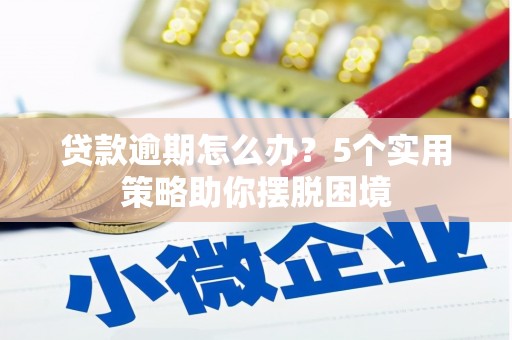 西岗贷款逾期怎么办？5个实用策略助你摆脱困境