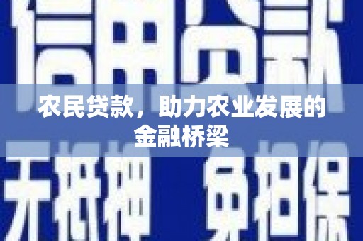 西岗农民贷款，助力农业发展的金融桥梁
