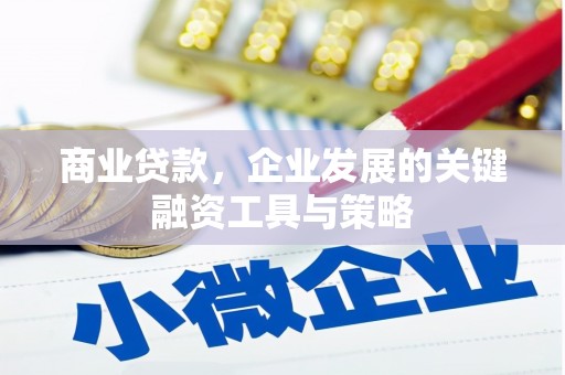 西岗商业贷款，企业发展的关键融资工具与策略