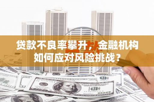 西岗贷款不良率攀升，金融机构如何应对风险挑战？