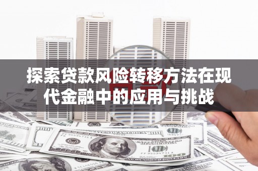 西岗探索贷款风险转移方法在现代金融中的应用与挑战