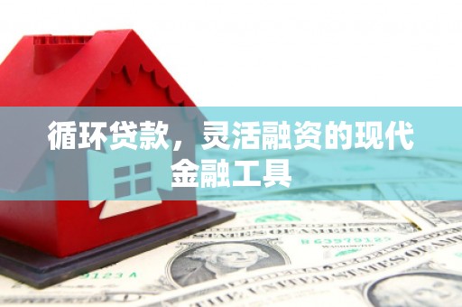 西岗循环贷款，灵活融资的现代金融工具