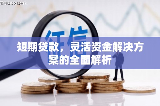 西岗短期贷款，灵活资金解决方案的全面解析