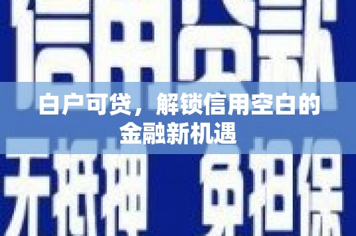 西岗白户可贷，解锁信用空白的金融新机遇