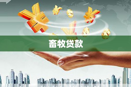 西岗畜牧贷款