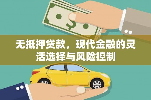 西岗无抵押贷款，现代金融的灵活选择与风险控制