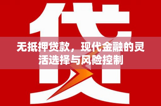 西岗无抵押贷款，现代金融的灵活选择与风险控制