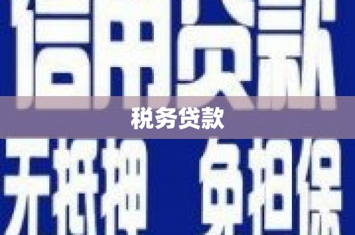 西岗税务贷款